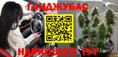 крисы Малоярославец