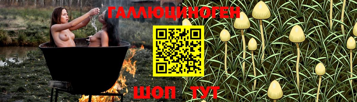 Галлюциногенные грибы прущие грибы Туапсе